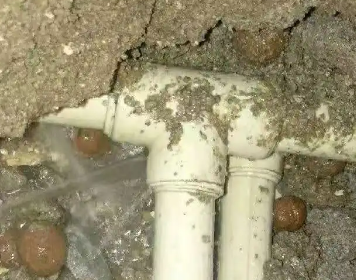 坊子测漏水多少钱