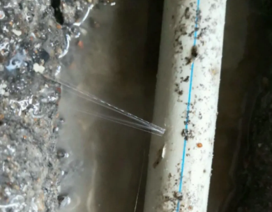 坊子测漏水哪家好